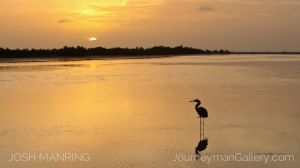 Josh Manring Photographer Decor Wall Art -  Florida Birds Everglades -91.jpg